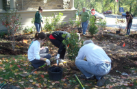 Freshman class planting around Earth Center